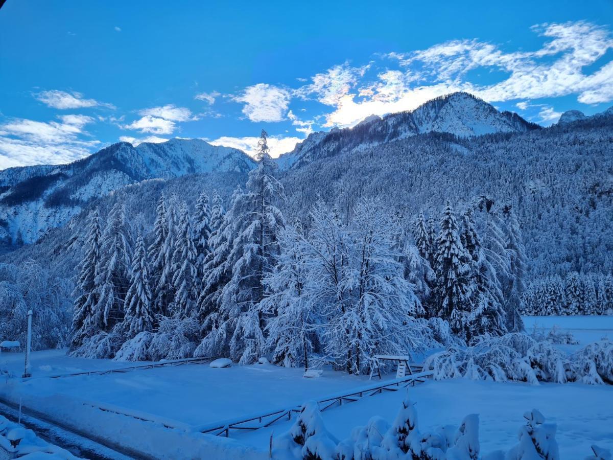 Vila Koca Martuljek Gozd Martuljek Exteriér fotografie